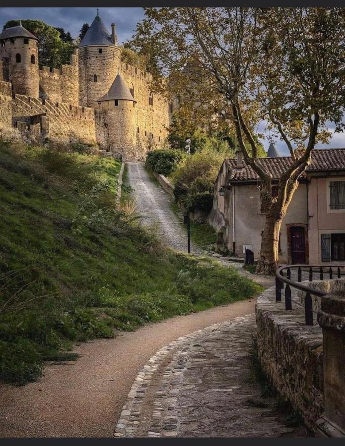 Maison Petite Cote การ์กาซอน ภายนอก รูปภาพ